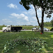 Weeping-Cherry-Tree-Removals-in-Chestertown-MD 6